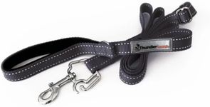 ThunderLeash No-Pull Dog Leash (Large (Over 25 lbs), Black)