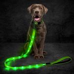 Domagiker Led Dog Leash, 5 Ft Light Up Dog Leash for Night Walking, Glowing Pet Leash USB Rechargeable, Nylon Flashing Dog Leash with Soft Padded Handle (Green)