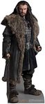 Advanced Graphics Life Size Cardboard Cutout Standup - The Hobbit, Cardboard, Thorin Oakenshield, One Size