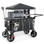 EVER ADVANCED 225L Festival Trolley on Wheels with Removable Canopy, 150KG Heavy Duty Camping Trolley, Push & Pull Beach Cart with 3 Large Pockets, Garden Folding wagon Fishing Grey