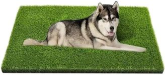 Artificial Grass, Professional Dog 