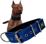 SparkDog Collars Working Dog Collar - 2" 4ply Padded Dog Collar Heavy Duty Stainless Steel Tactical Seatbelt Wide Buckle Collar (Blue 2.0, Large)