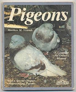 Fancy Pigeons