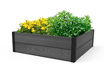 Keter Maple Raised Garden Bed, Durable Outdoor Planter for Vegetables, Flowers, Herbs, and Succulents, Grey