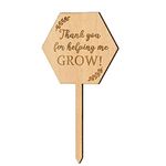 Chris.W 24 PCS Thank You for Helping Me Grow Succulent Tags, Thank You for Helping Me Grow Plant Markers Teacher Appreciation Gift Label, Wood Garden Plant Stake Label Plant Sign for Succulents Favors