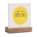 Lukiejac You are Amazing Remember That Sign Gifts For Women Best Friend - Inspirational Quotes Encouragement Cheer Up Motivational Gifts For Office Desk Positive Decor Plaque For Cowoker For Birthday