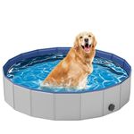 Dog Pool for Medium Dogs, Plastic Pool for Dogs, Dog Bathtub Portable, Foldable Pool (40''x 12'')