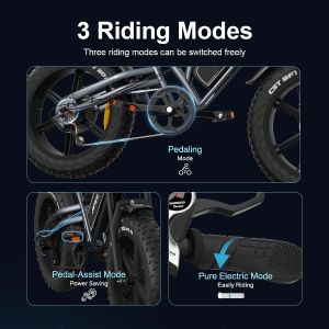 X50 20'' Fat Tire Electric Bike for Adults – 48V 17Ah, 250W, 7-Speed, Removable Battery, LCD Display