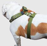 Cotton Web Dog Harness Large. Fits Girth 29"-34.5". 1.5" Wide Straps, Rottweiler, Doberman, Boxer