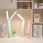 LuxLumin LED Double Head Desk Lamp 