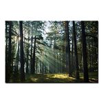 Sunshine Through Forest Wall Art Painting Pictures Print On Canvas Landscape The Picture for Home Modern Decoration