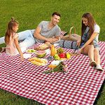 Picnic Plus Picnic Blankets