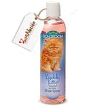BioGroom Premium Cruelty-Free Shampoo for Cats Kitten | USA Made X Tails Nation | Natural Ingredients | Soap-Free (Kuddly Kitty Tearless 236ML) | Eliminates Pet Odours, Long-Lasting Fragrance. Cruelty-Free and Safe to Use