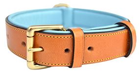 Soft Touch Collars Leather Padded Dog Collar, Large Tan with Teal Padding, Real Genuine Leather, 24" Long x 1.5" Wide, Neck Size 18" to 21"