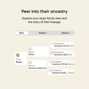 Embark Dog DNA Test Kit – Breed Identification & Health Screening