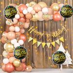 TOYXE Happy Birthday Party Backdrop Arch LED Lights Net Curtain Balloons Decoration Set of 96 Pcs