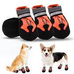 Dog Boots, Set of 4 Waterproof Dog Shoes with Reflective Straps Anti-Slip Sole Outdoor Paw Protectors Dog Shoes for Small Medium Dogs Autumn Winter (Orange,M)