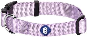 Blueberry Pet Essentials Matching S