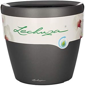 Lechuza Cl