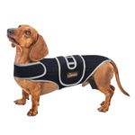 TIPOOP Dog Back Brace for IVDD, Arthritis and Pain Relief, Ivdd Back Brace for Dogs, Accelerates Surgical Recovery, Back Brace for Dogs Prevents Back Problems in Small Dogs and Large Dogs S