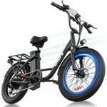 URLIFE 20"*3.0 Fat Tire Electric Bi