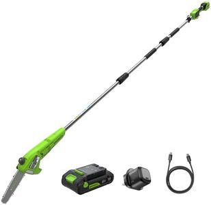 Greenworks 24V 8in Cordless Pole Saw, 2.68m Long Reach Pole Pruner for Tree Pruning, 20cm Electric Mini Chainsaw with Auto-Oiler, 6.7m/s Chain Speed with 2Ah Battery and 30W USB C Charger