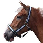 Intrepid International Draft Horse Nylon Halters with Overlay, Green/White