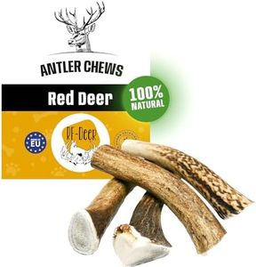 RF - DEER Bois de Cerf élaphe M (Lot de 5), Hard, 100% Naturel Bâtonnets Jouets à mâcher naturels pour Chien, Mâcher des os pour Le Plaisir et Les Soins dentaires, favorisant l'hygiène Dentaire