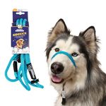 Heather's Heroes Sidekick Dog Headcollar with Leash - Sidekick Leash for Dogs, Effective Dog Training Tool for Leash Reactivity and Behavior Issues (Regular (3/8"), Turquoise)