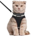 rabbitgoo Cat Harness and Leash Set