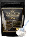 Lexelium Weight Gainer and Appetite