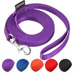 Leads For Dog Cats