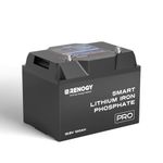 Renogy 100Ah Lithium Battery Lifepo4 Deep Cycle Battery, with Bluetooth Monitoring, Self-Heating for Cold Weather, IP67 for Hurricanes, 5000+ Life Cycles, Pro Series