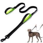 DDSCOLOUR Heavy Duty Dog Leash 5-6ft Long with Double Traffic Handle Reflective Perfect for Medium large dog leash strong Double Handle Lead ，Greater Control Safety Training (Black+Green)