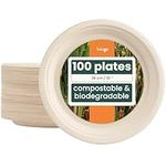HAAGO - 96 Sugarcane Bagasse Plates for Garden Parties, Weddings, BBQs | Eco-Friendly, Biodegradable, Compostable - 26cm / 10-inch (96)
