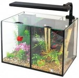 Aqua One Betta Duo Aquarium 20 Litre