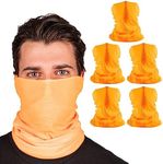 S A Company 5-Pack UV Face Shield |