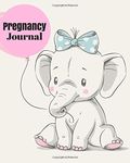 Pregnancy Journal: Baby Conception 