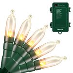 Christmas Lights with Timer & Indicator - Battery Operated String Lights Outdoor String Lights 100 LED String Lights Clear Mini Lights Set for Wedding Party Home Garden Wreath, Waterproof, Warm White