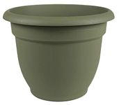 Bloem 20-56410 Fiskars Ariana Planter with Self-Watering Grid, 10", Thyme Green