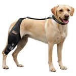 CHAMIN Adjustable Dog Knee Brace with Extra Collar, Support for Torn Acl Hind Leg, Tear Ligament, Osteoarthritis,Rear Leg Limp, Recovery After Surgery,et(Right Leg,L)