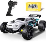 Tecnock RC Cars Remote Control Car for Kids, 1:18 Scale 20 KM/H 2WD Offroad Buggy, 2.4GHz RC Racing Car with 50-Min Playtime, Toys Gifts for Boys & Girls