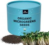 Superfood Microgreen Seeds Mix x 8 oz. Heirloom Non GMO Organic Broccoli, Kale, Kohlrabi, Arugula & Cabbage Seeds in Food Grade Colorful Container with Lid for Easier Scooping & Keeping Fresher