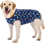 kzrfojy Dog Surgery Recovery Suit Dog Onesie Dog Bodysuit Surgical Suit for Female (Not Need Roll It Up to Go Potty for Male Dogs) Spay Post Healing Neuter After Surgery Suits