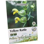 1200 Yellow Rattle Rhinanthus Minor British Wild Flower Seeds