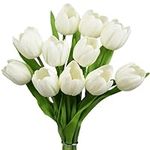 Buart White&Green Tulip Flowers Art