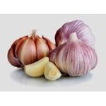 Garlic Bulb (7 Bulbs), Fresh Siberian HARDNECK Garlic Bulb for Planting and Growing Your OWN Garlic OR Eating