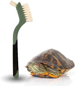 Turtle Cle