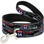 Buckle Down Pet Leash - Route 66 Classics Gray