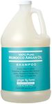 Ginger Lily Farms Salon Formula 100% Pure Morocco Argan Oil Shampoo for All Hair Types, 100% Vegan & Cruelty-Free, 1 Gallon, 128 Fl Oz (Pack of 1) Refill